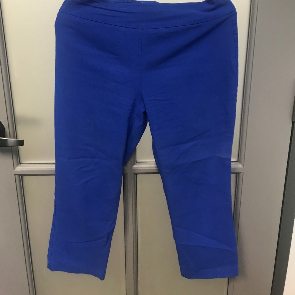 Attyre New York Royal Blue Capris